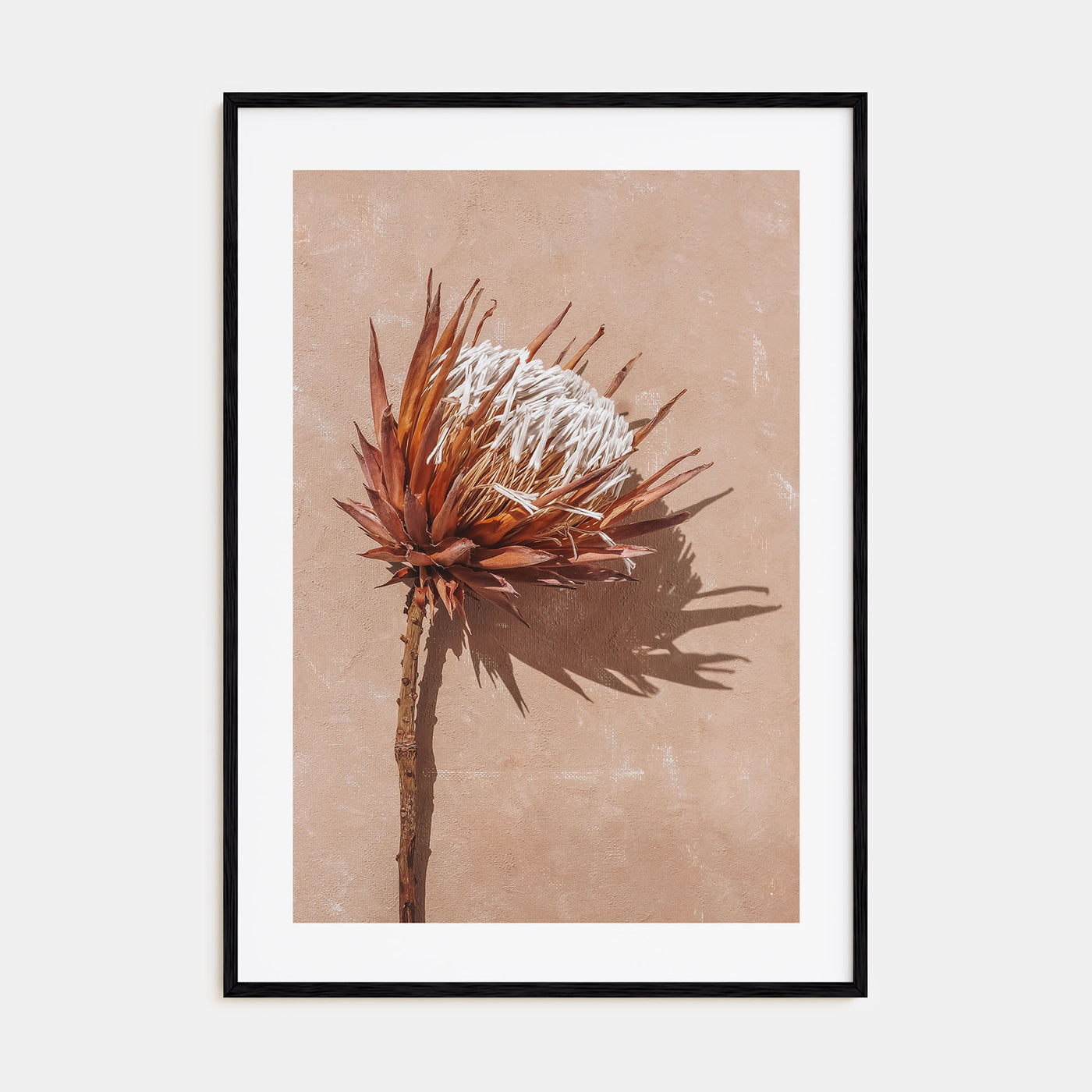 Dried Exotic Flower Photo Color Poster