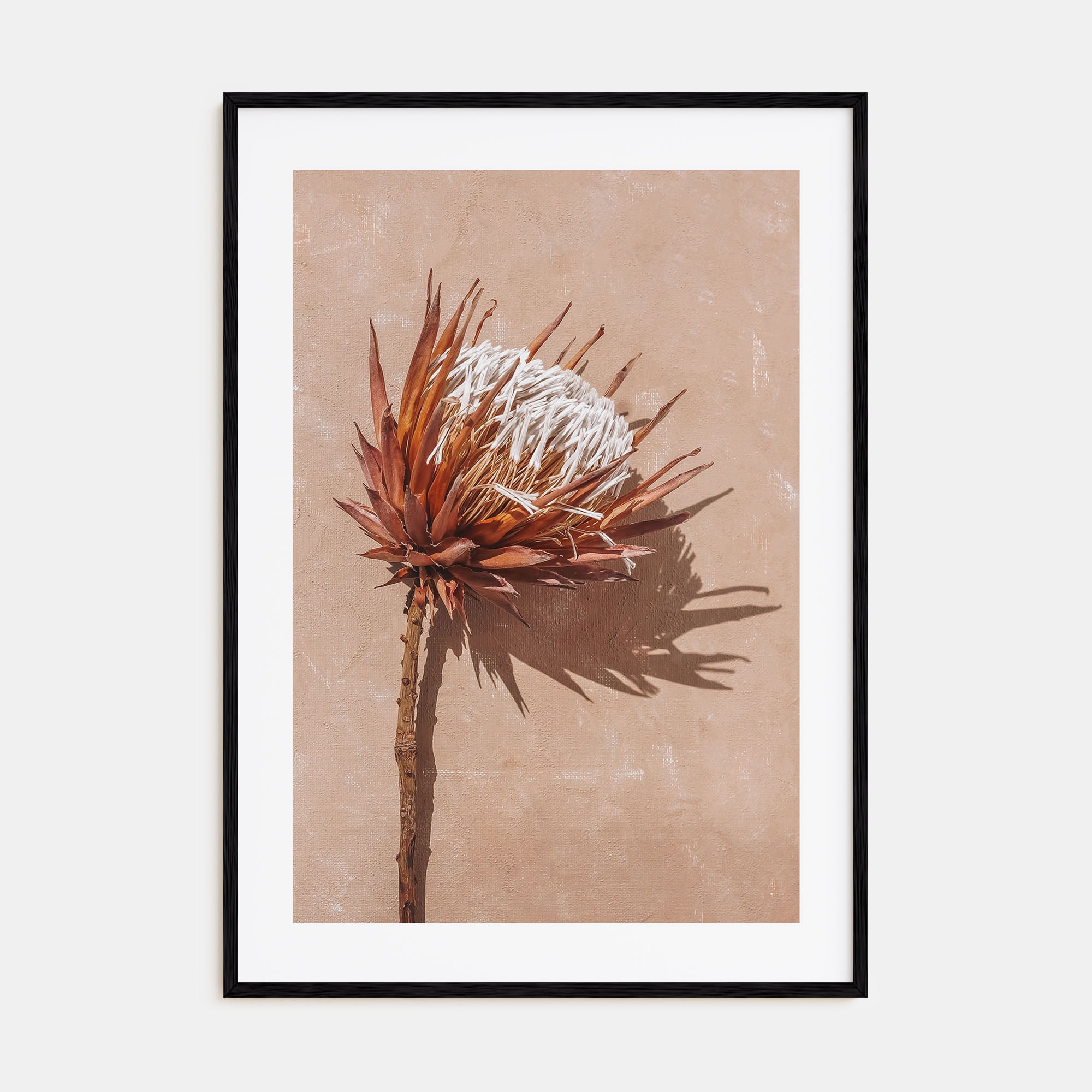Dried Exotic Flower Photo Color Poster