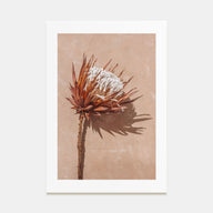 Dried Exotic Flower Photo Color Poster
