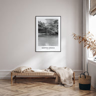 Dripping Springs Portrait B&W Poster