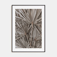 Dry Tropical Palm Leaf Photo Color No 1 Poster