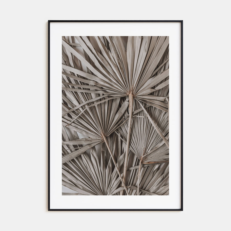 Dry Tropical Palm Leaf Photo Color No 1 Poster