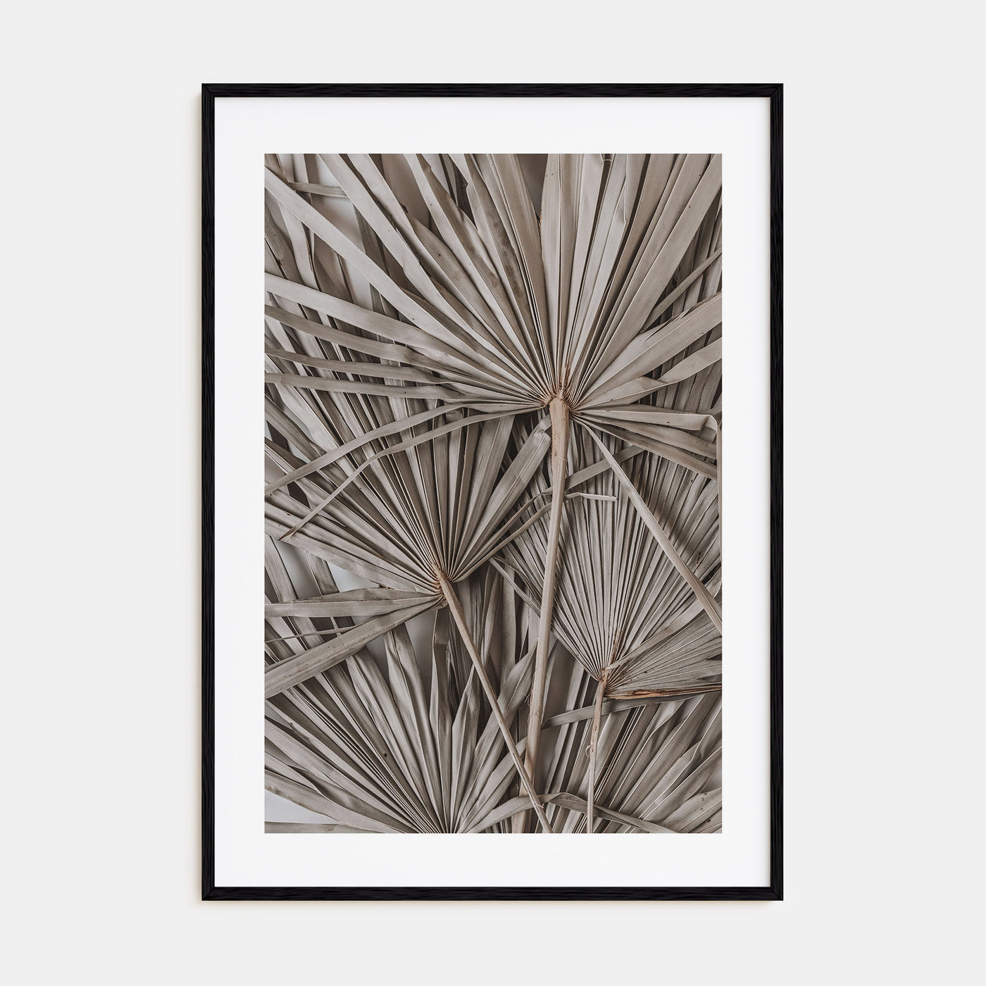 Dry Tropical Palm Leaf Photo Color No 1 Poster