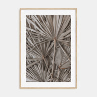 Dry Tropical Palm Leaf Photo Color No 1 Poster