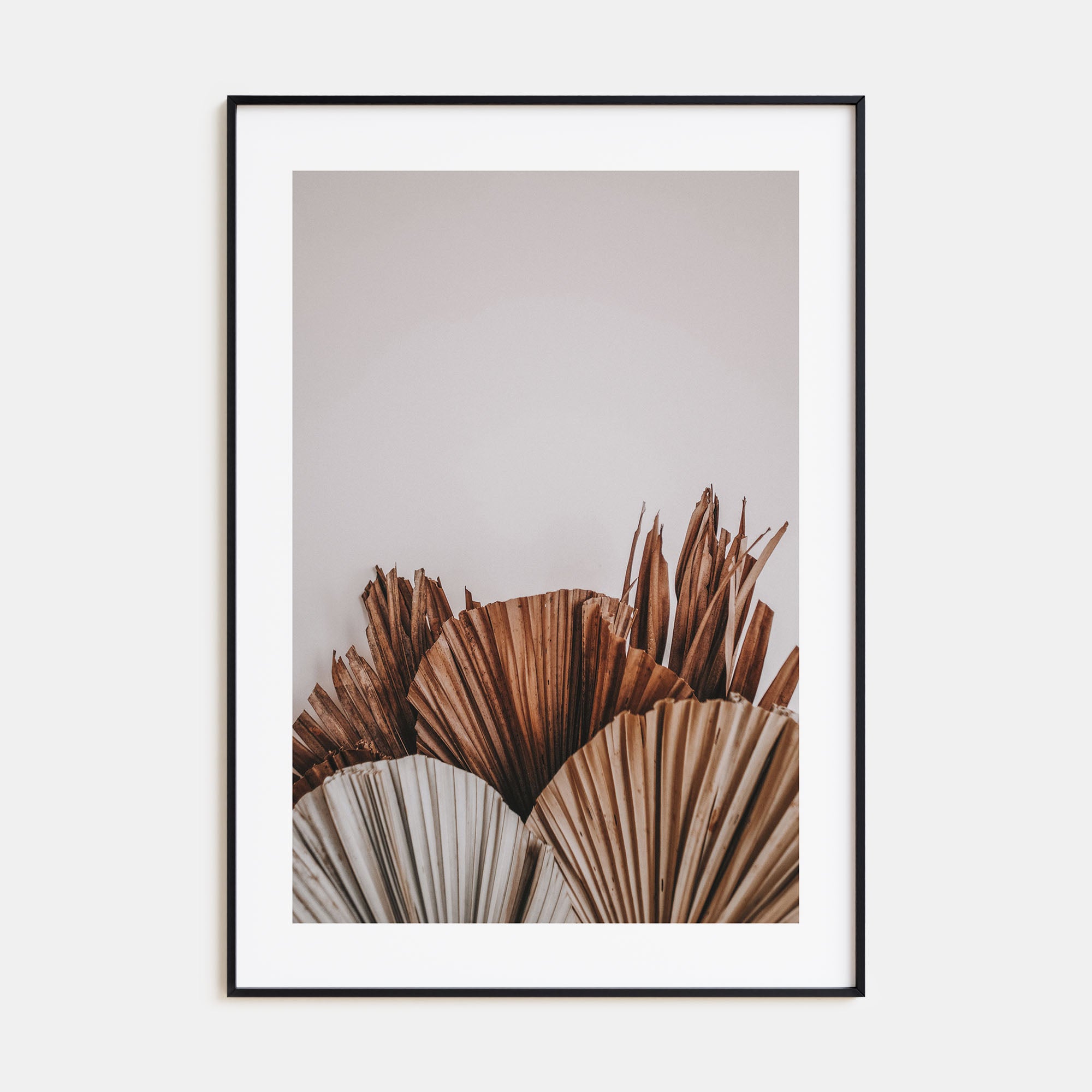 Dry Tropical Palm Leaf Photo Color No 2 Poster