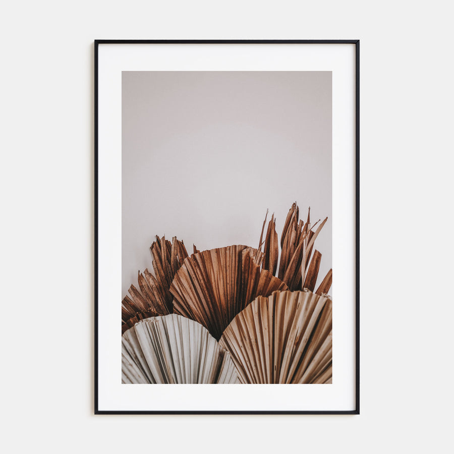Dry Tropical Palm Leaf Photo Color No 2 Poster