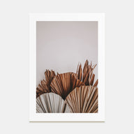 Dry Tropical Palm Leaf Photo Color No 2 Poster