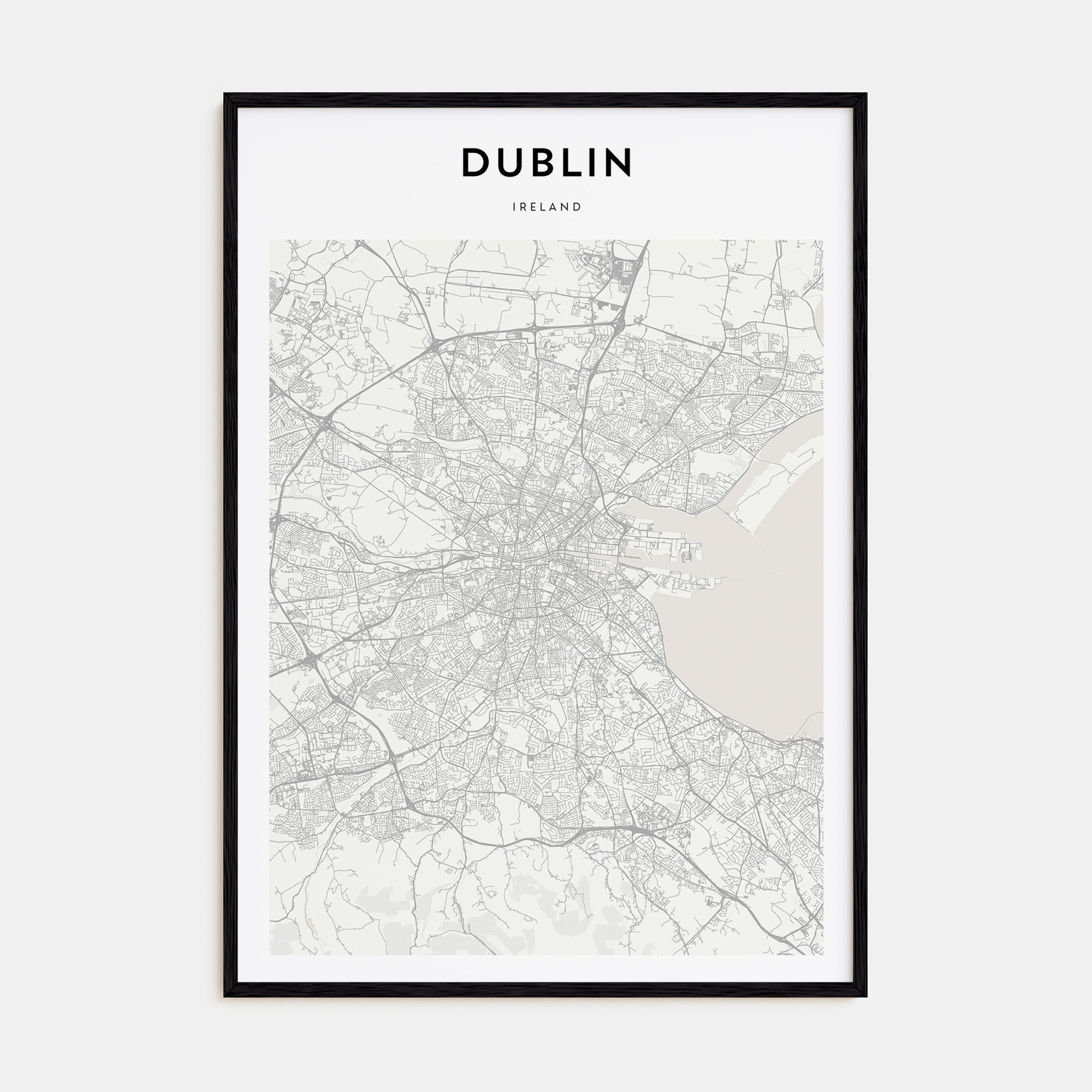 Dublin Map Portrait Poster