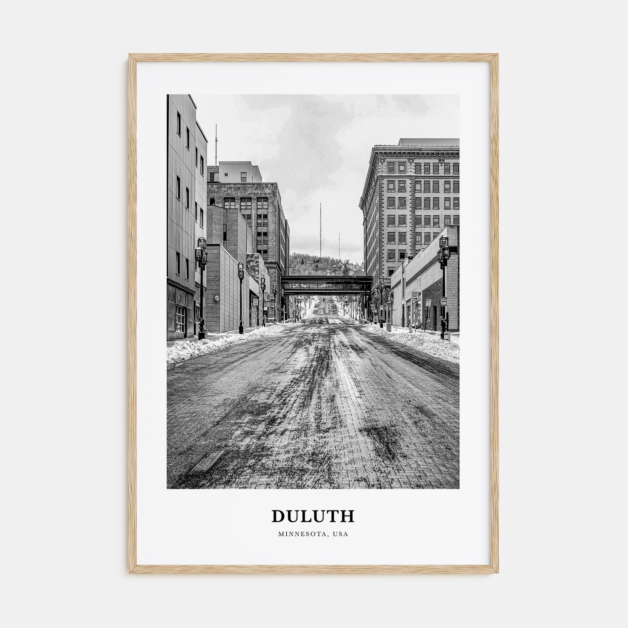 Duluth Portrait B&W Poster