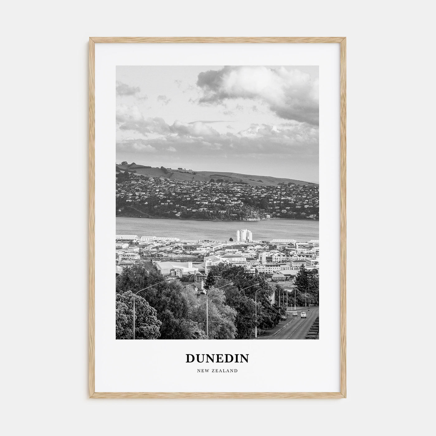 Dunedin Portrait B&W Poster