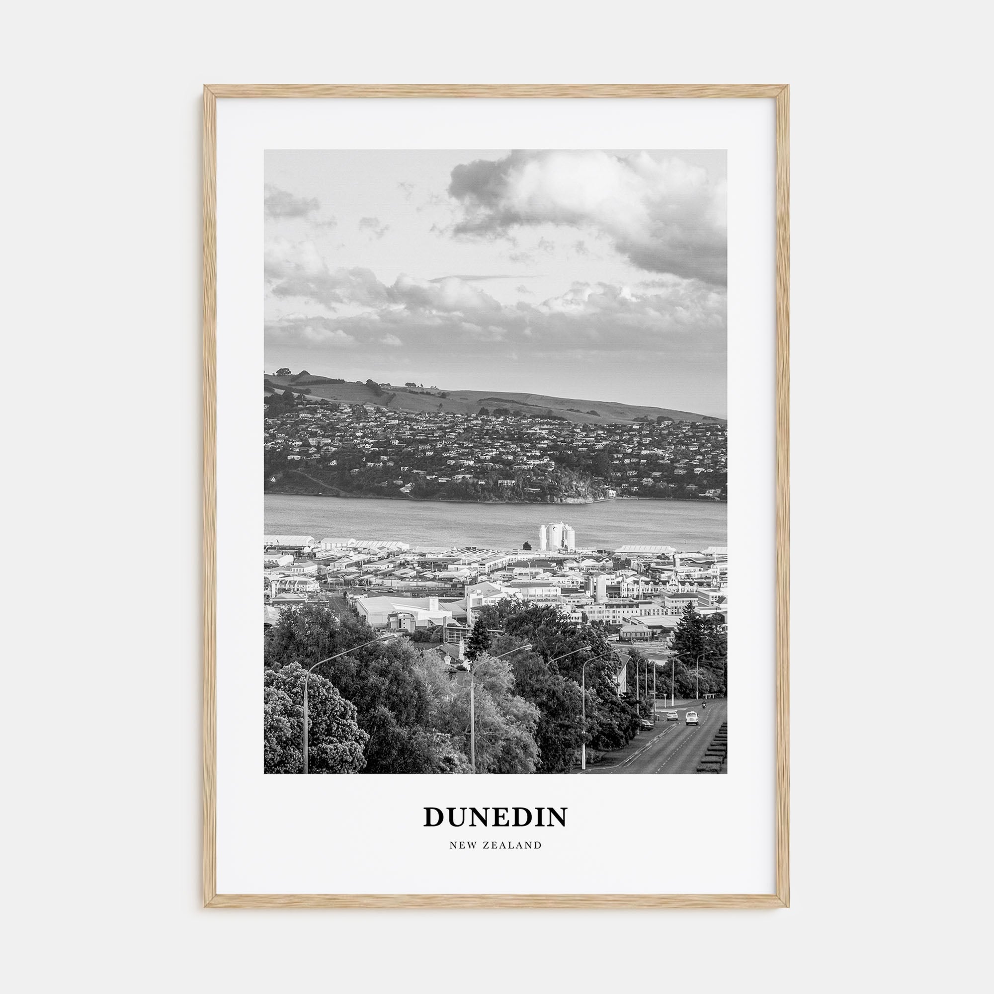 Dunedin Portrait B&W Poster