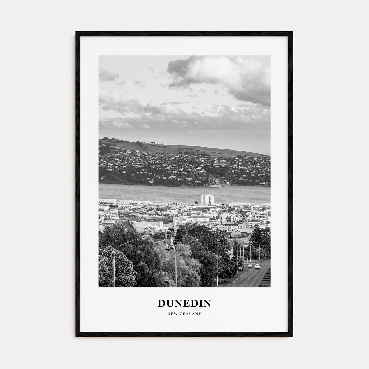 Dunedin Portrait B&W Poster