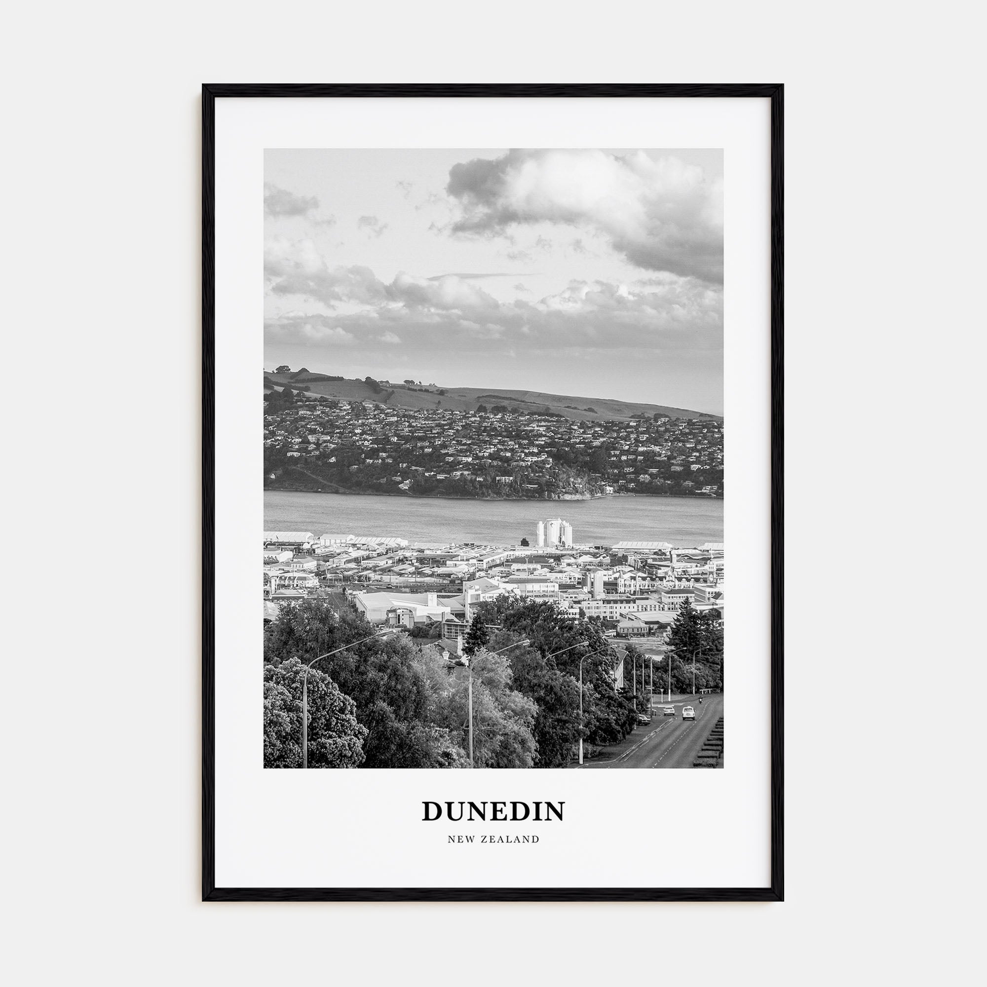Dunedin Portrait B&W Poster