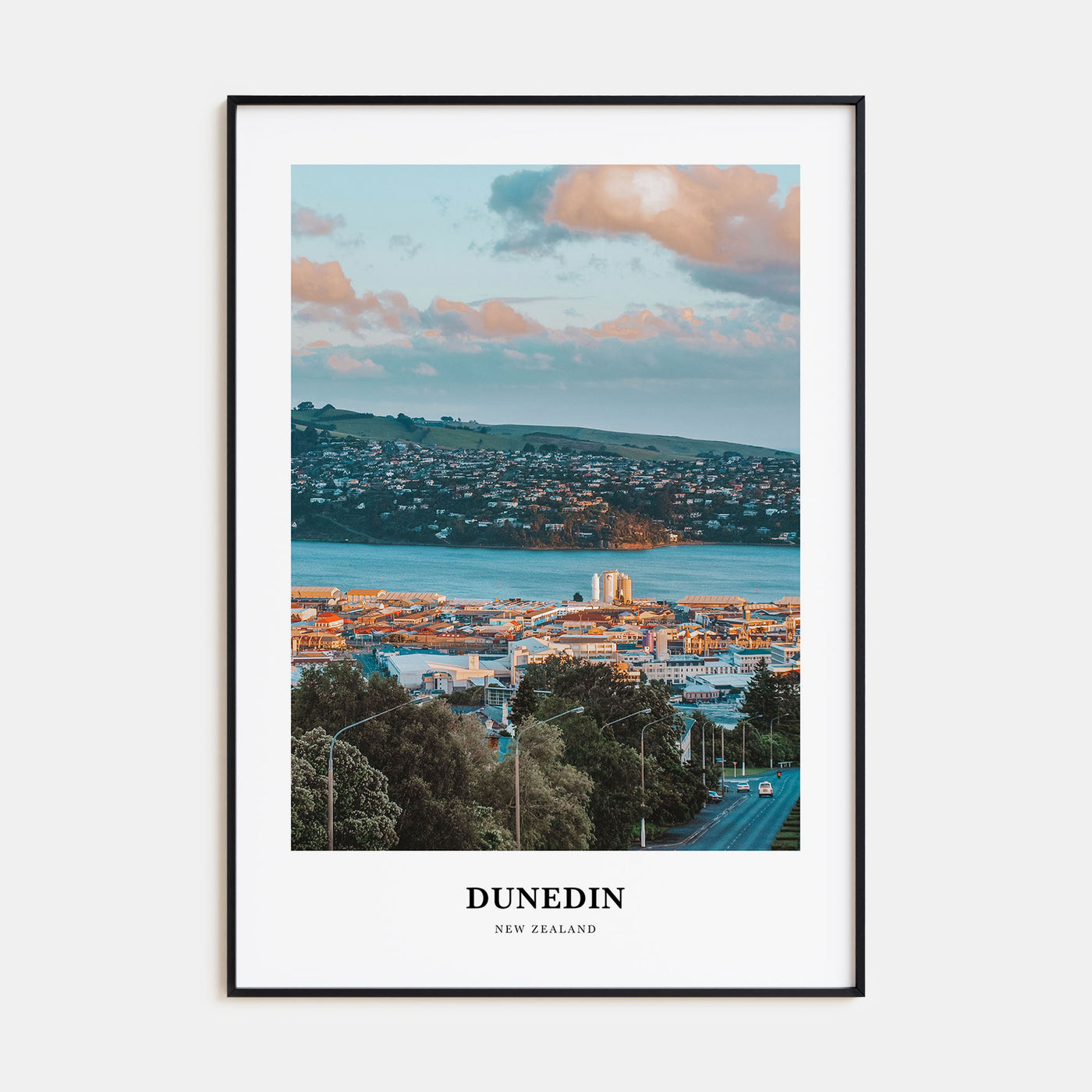 Dunedin Portrait Color No 1 Poster