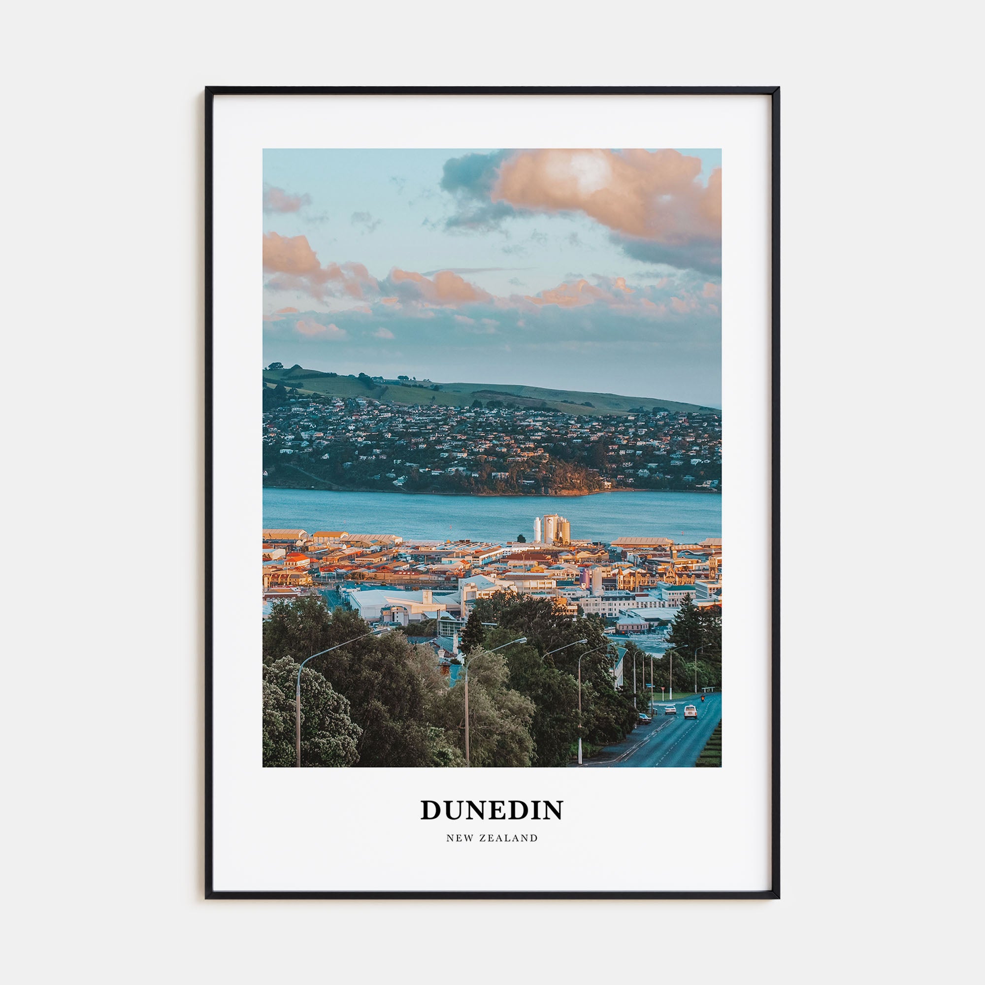 Dunedin Portrait Color No 1 Poster