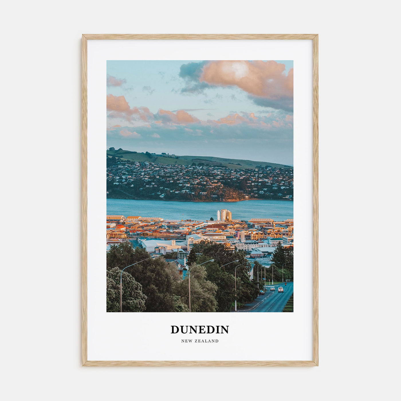 Dunedin Portrait Color No 1 Poster