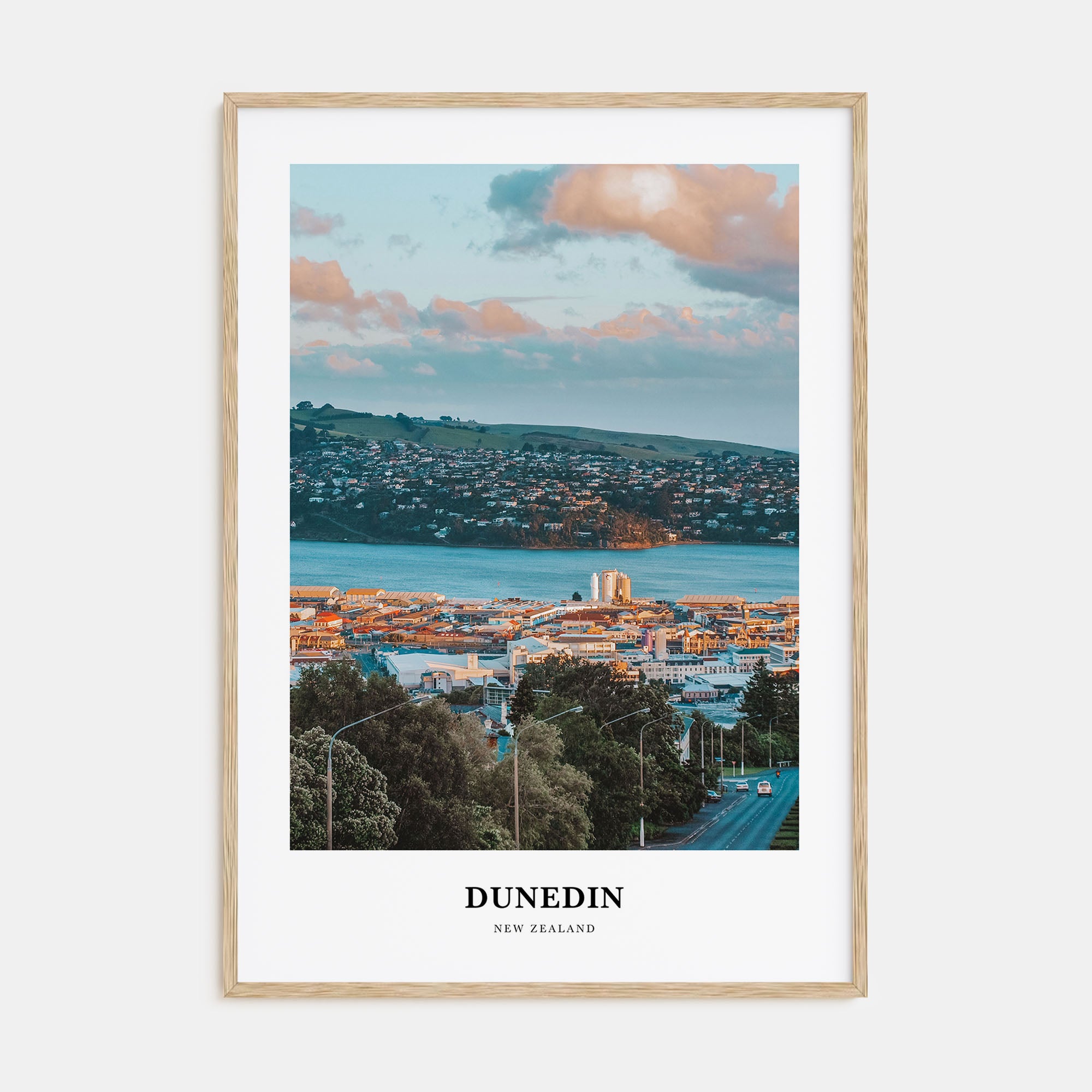 Dunedin Portrait Color No 1 Poster