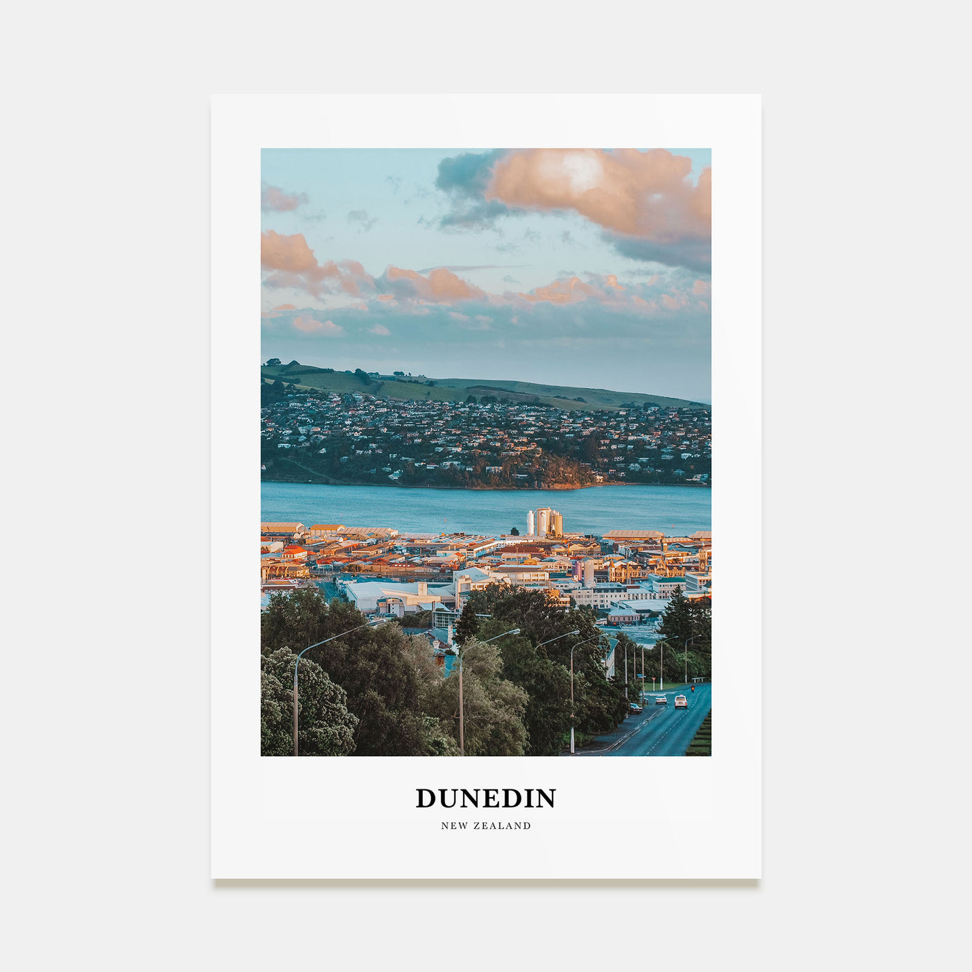 Dunedin Portrait Color No 1 Poster
