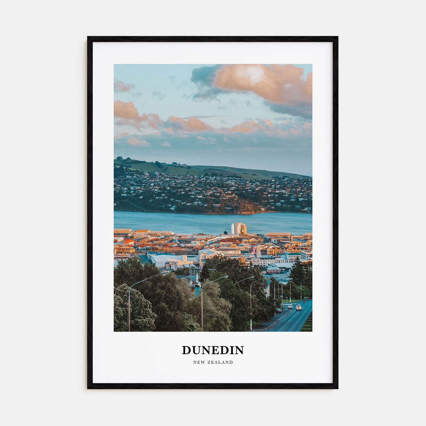 Dunedin Portrait Color No 1 Poster