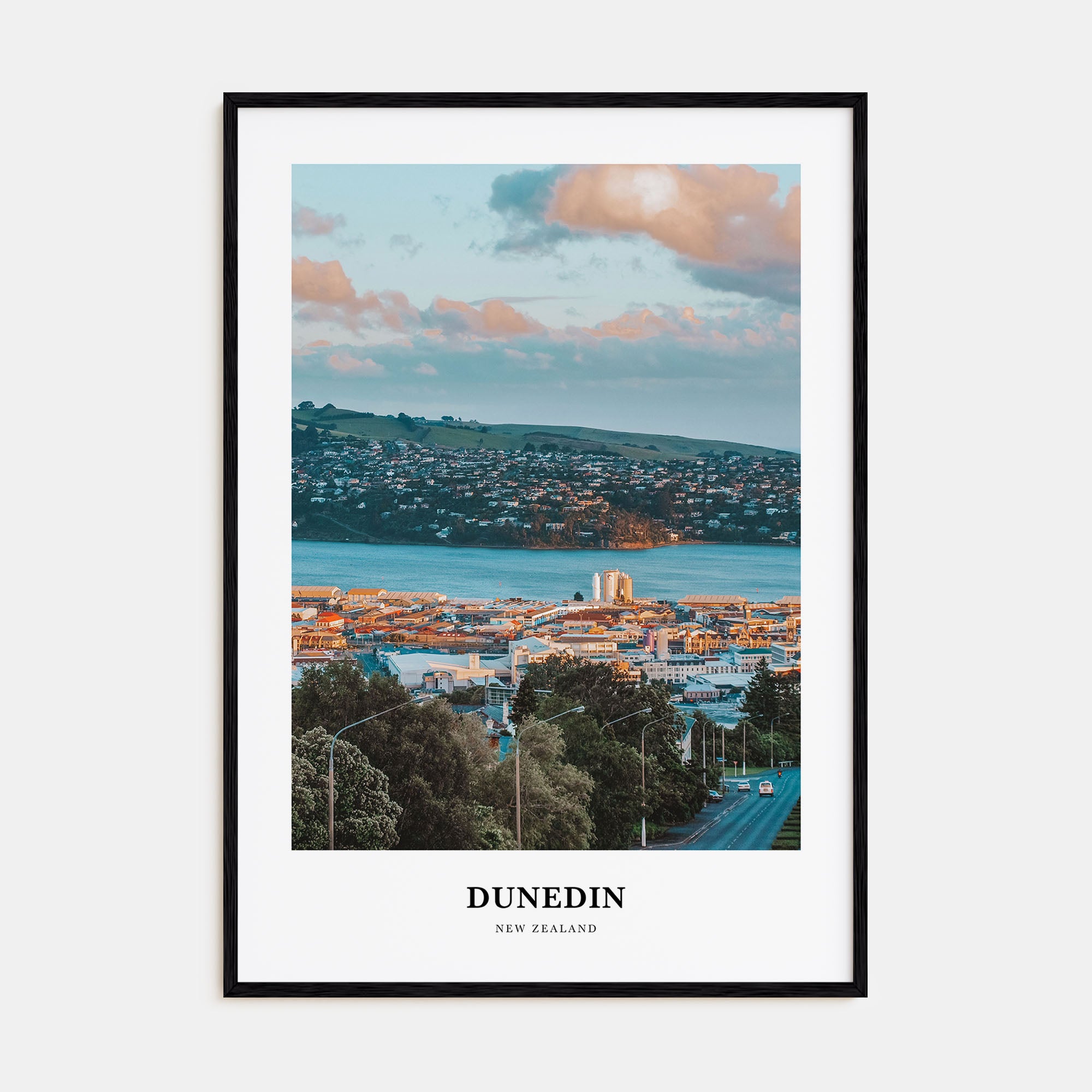 Dunedin Portrait Color No 1 Poster