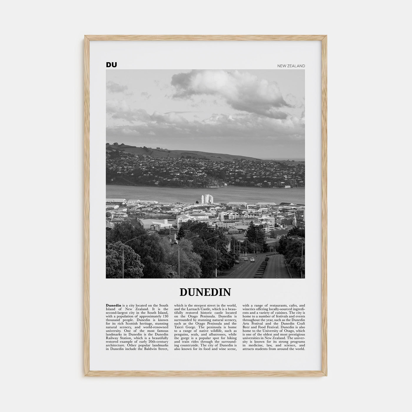 Dunedin Travel B&W Poster