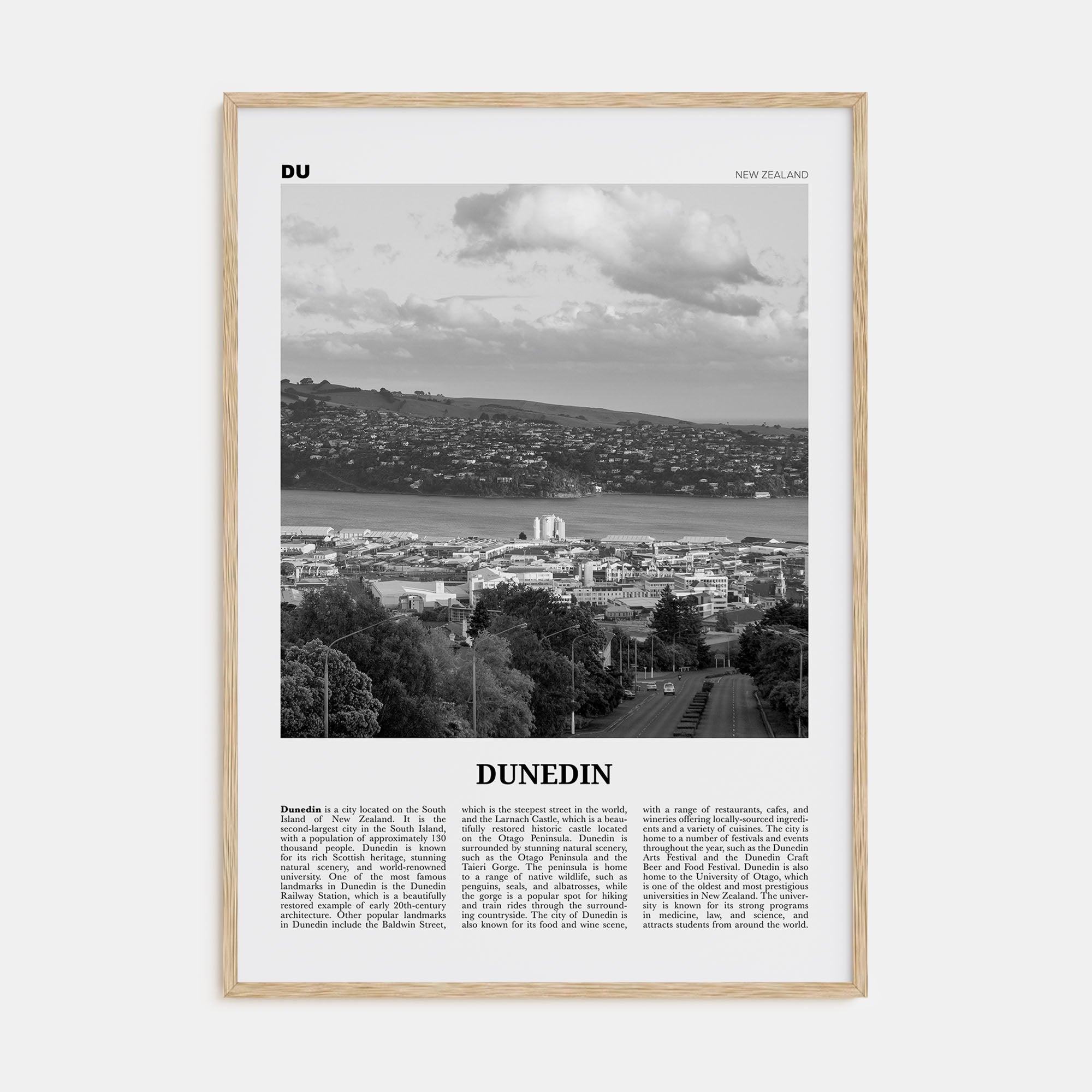 Dunedin Travel B&W Poster