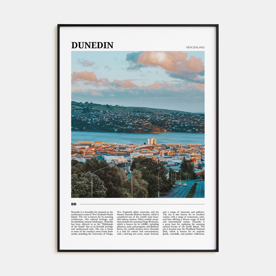 Dunedin Travel Color No 1 Poster