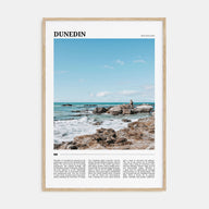 Dunedin Travel Color No 2 Poster