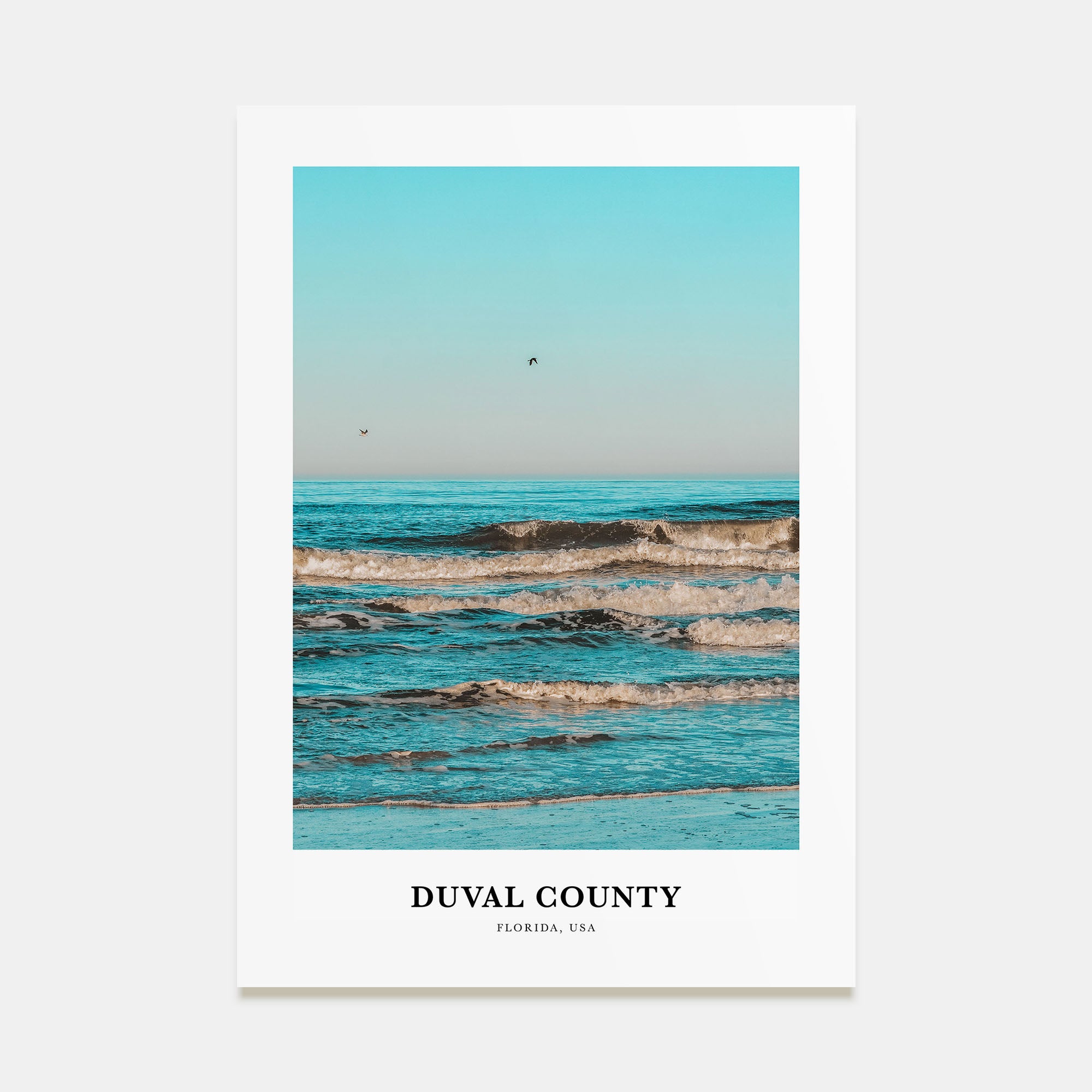 Duval County Portrait Color Poster