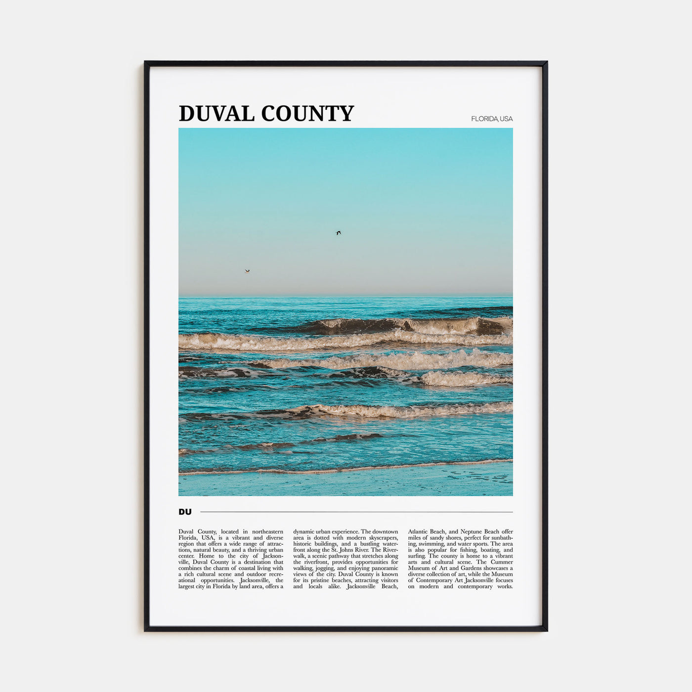 Duval County Travel Color Poster
