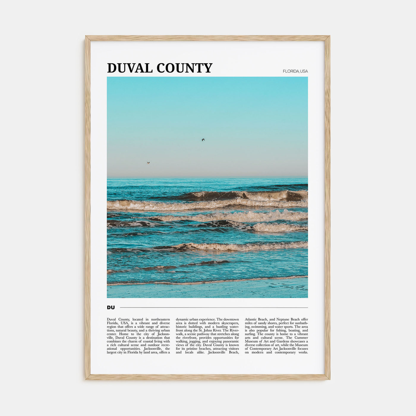 Duval County Travel Color Poster