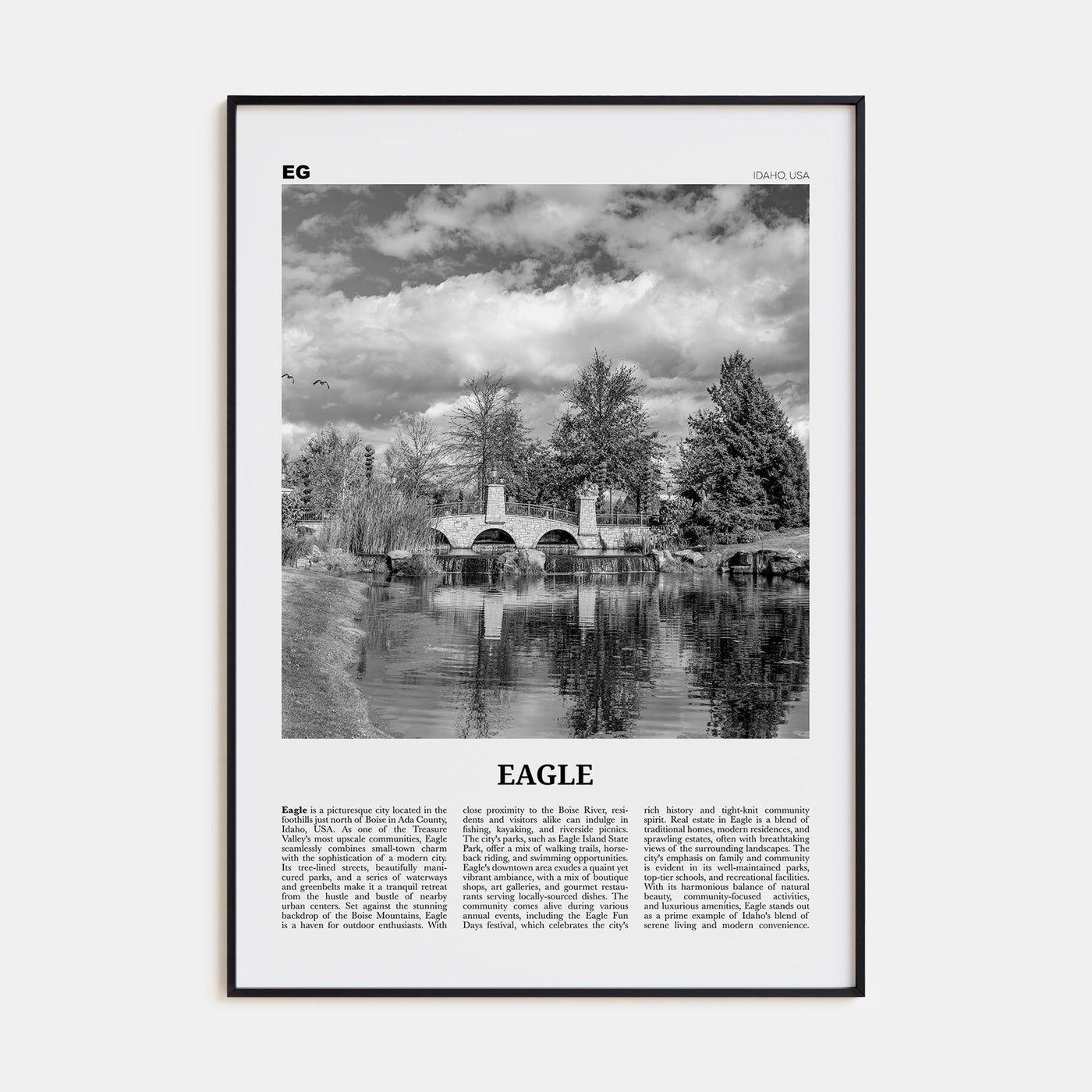Eagle Travel B&W Poster