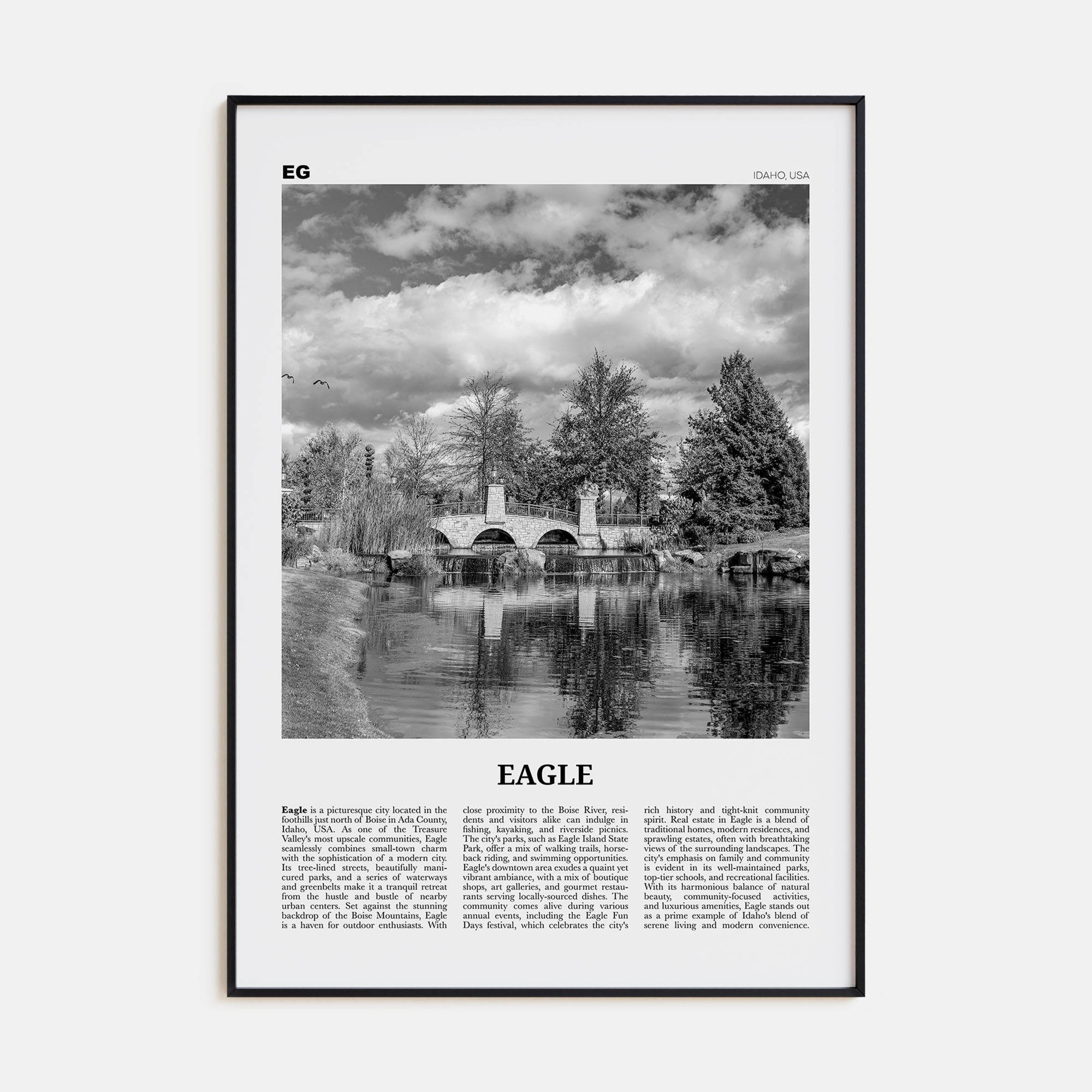 Eagle Travel B&W Poster