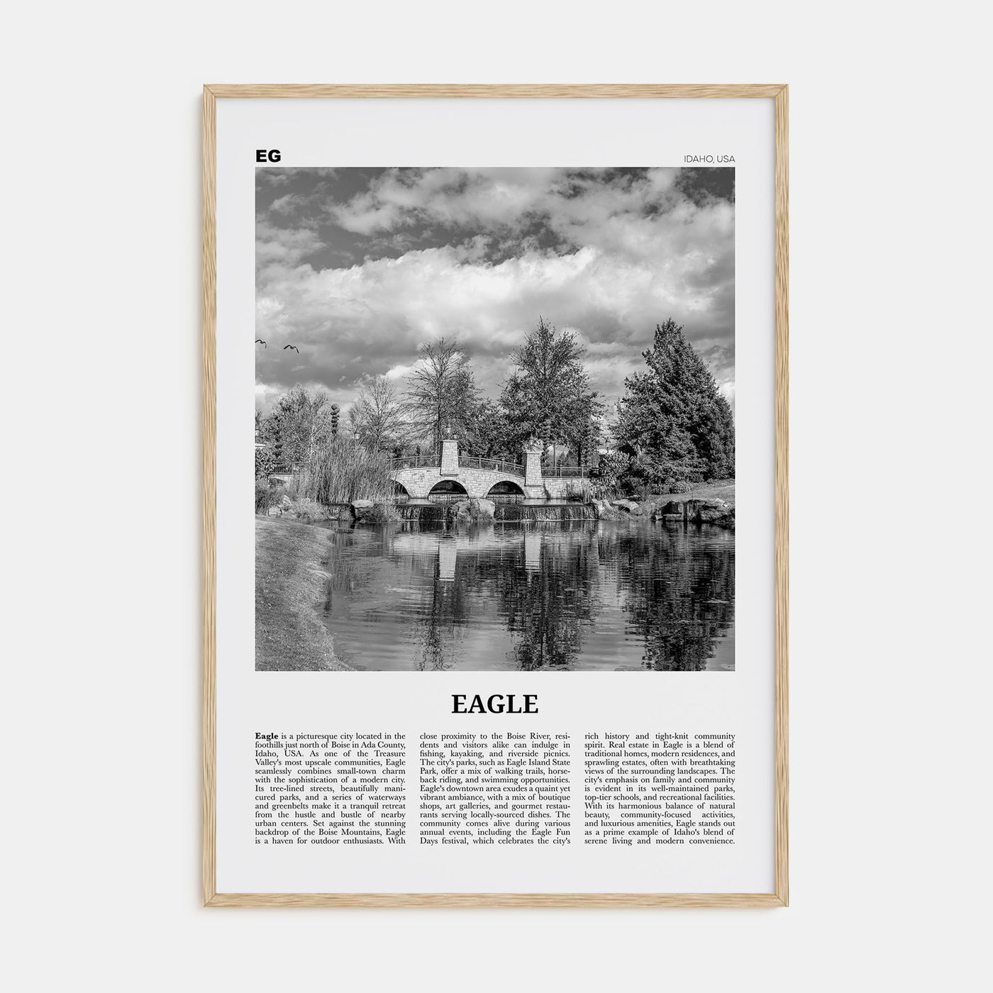 Eagle Travel B&W Poster