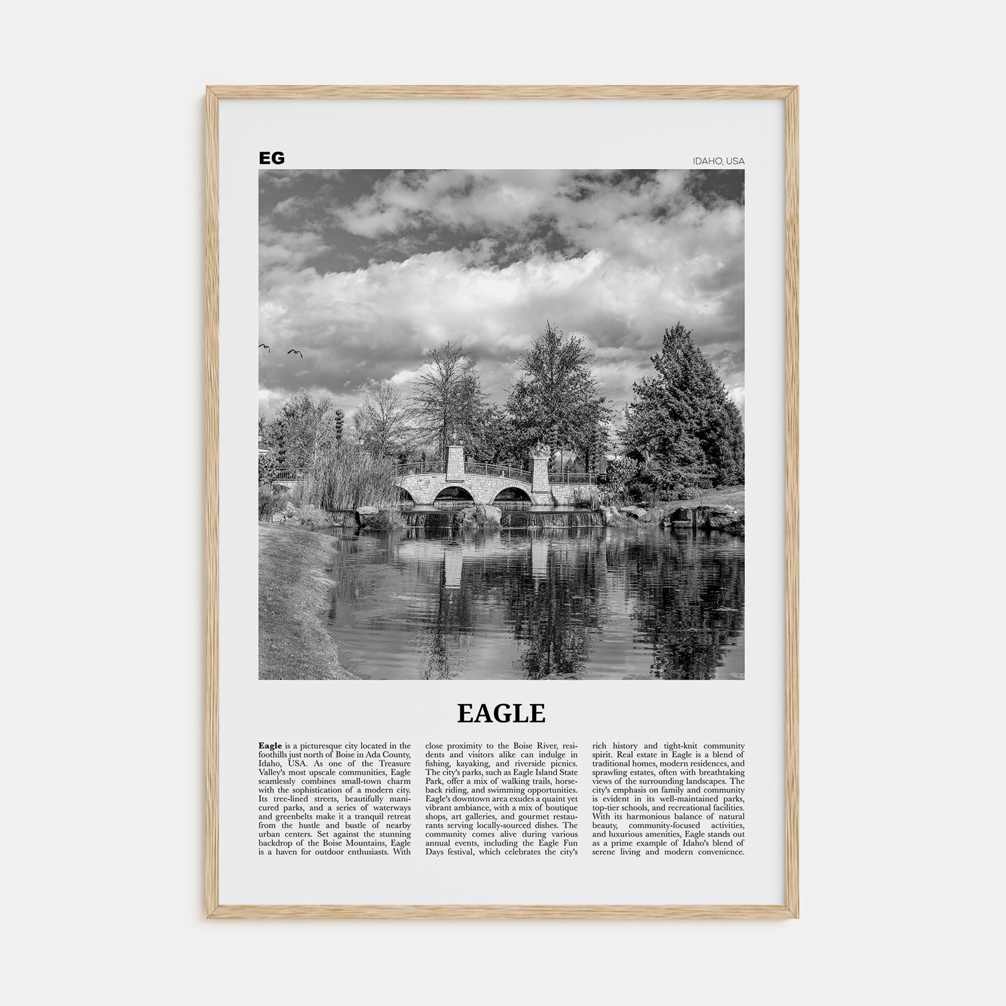 Eagle Travel B&W Poster