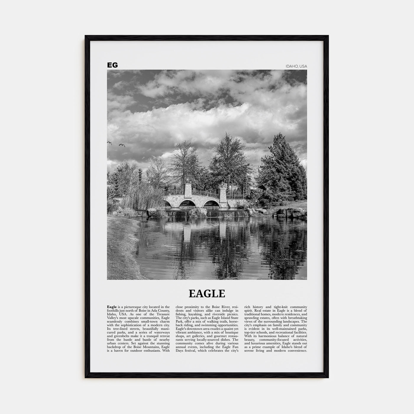 Eagle Travel B&W Poster
