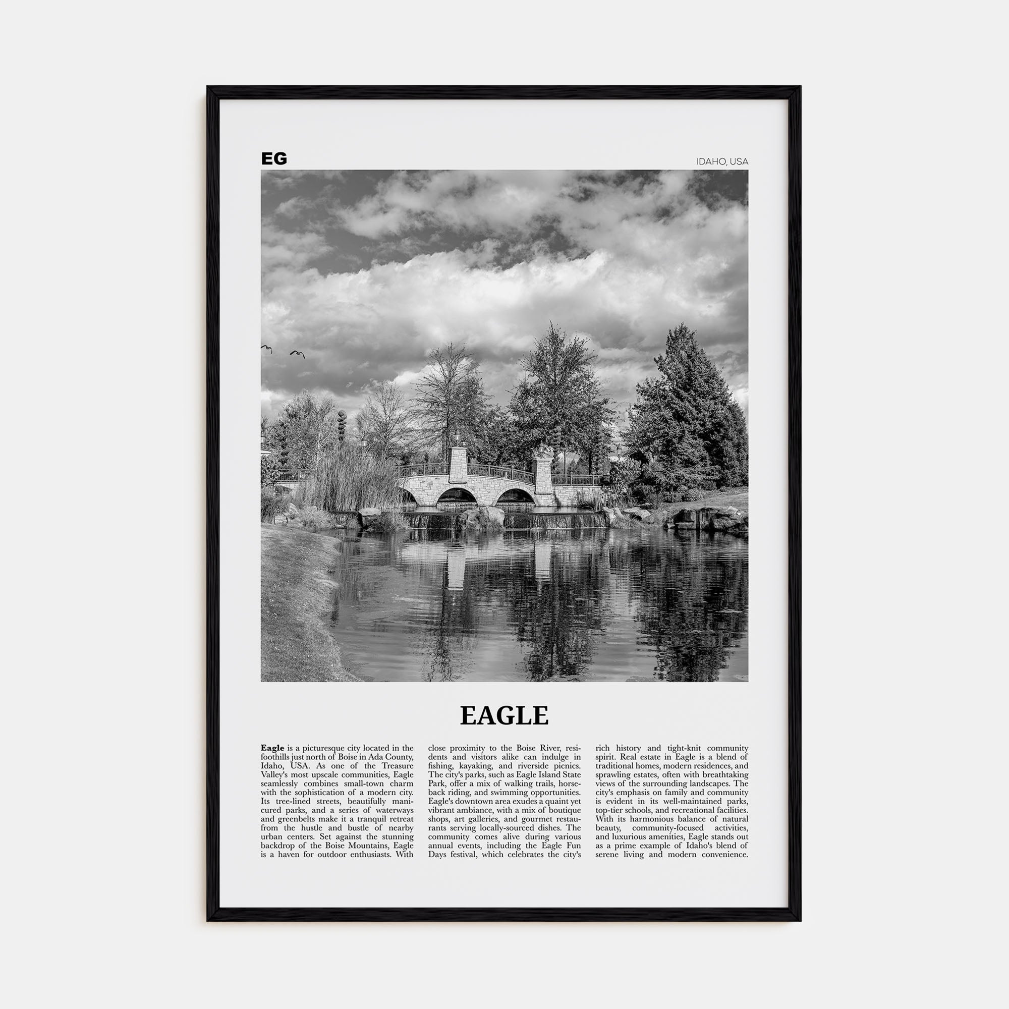 Eagle Travel B&W Poster