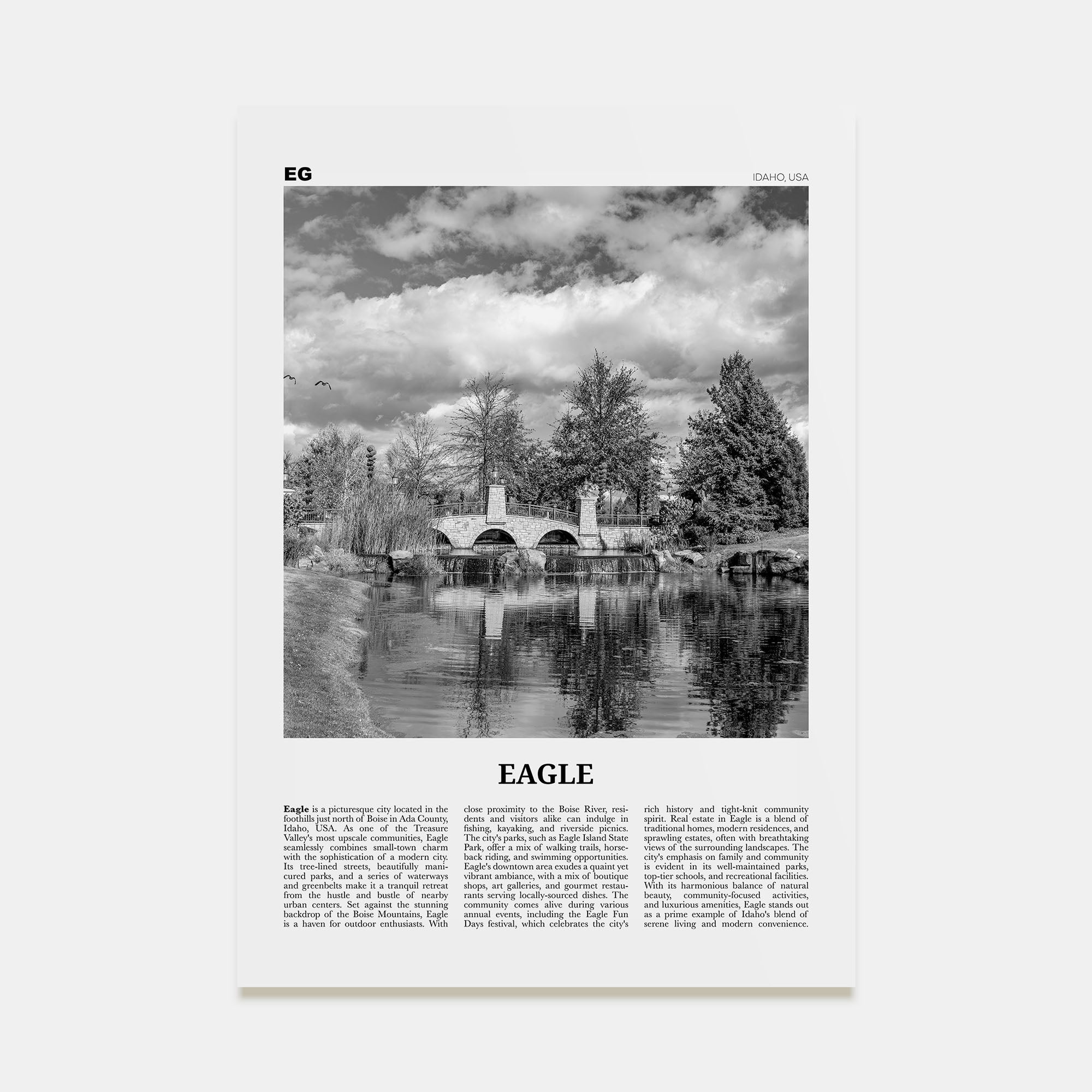 Eagle Travel B&W Poster