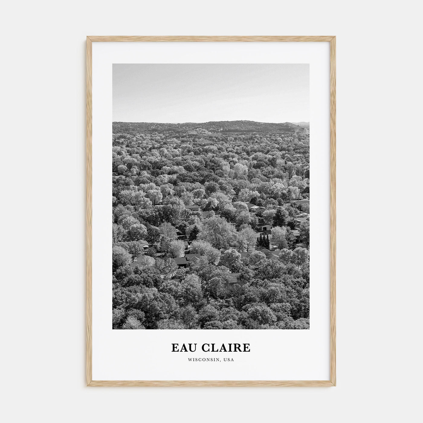 Eau Claire Portrait B&W Poster