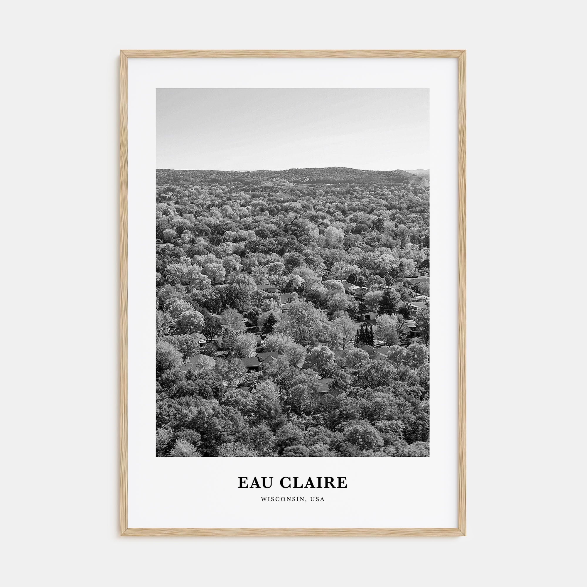 Eau Claire Portrait B&W Poster