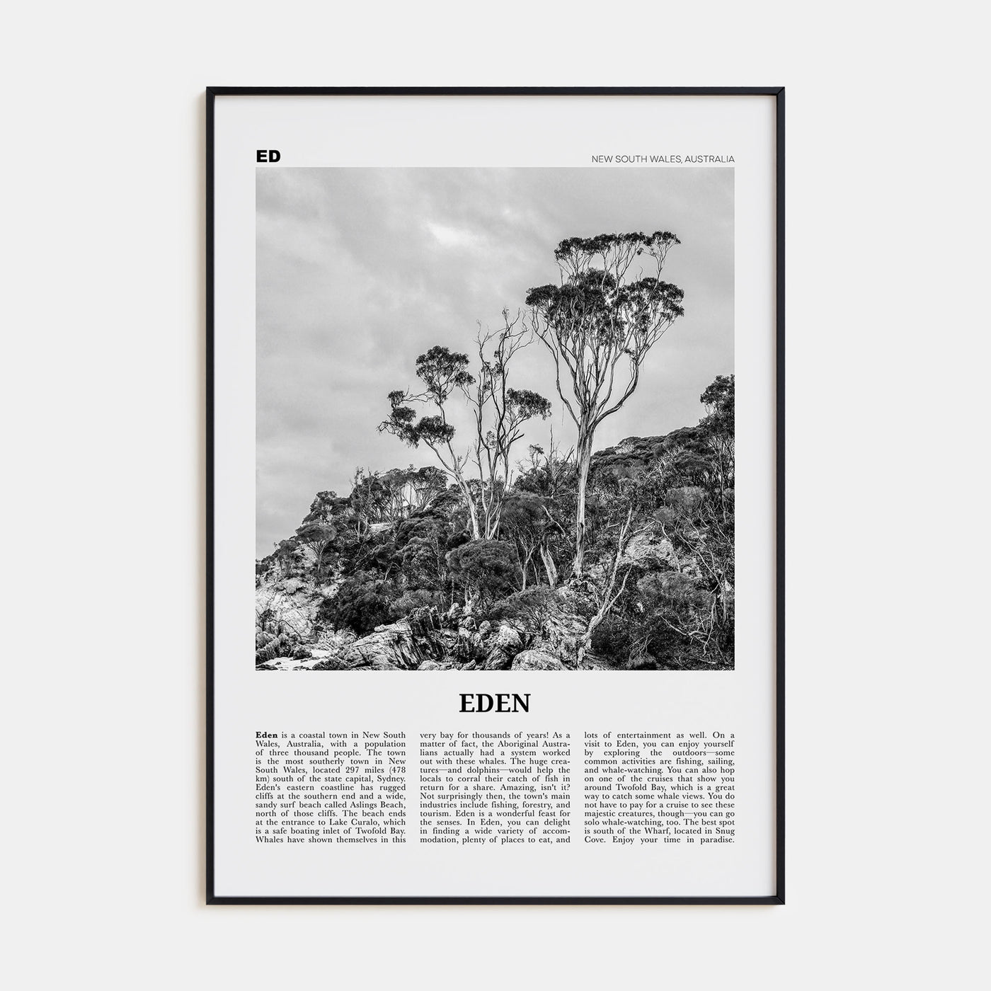 Eden Travel B&W Poster