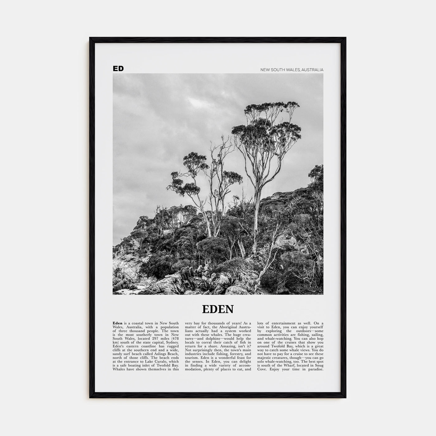 Eden Travel B&W Poster