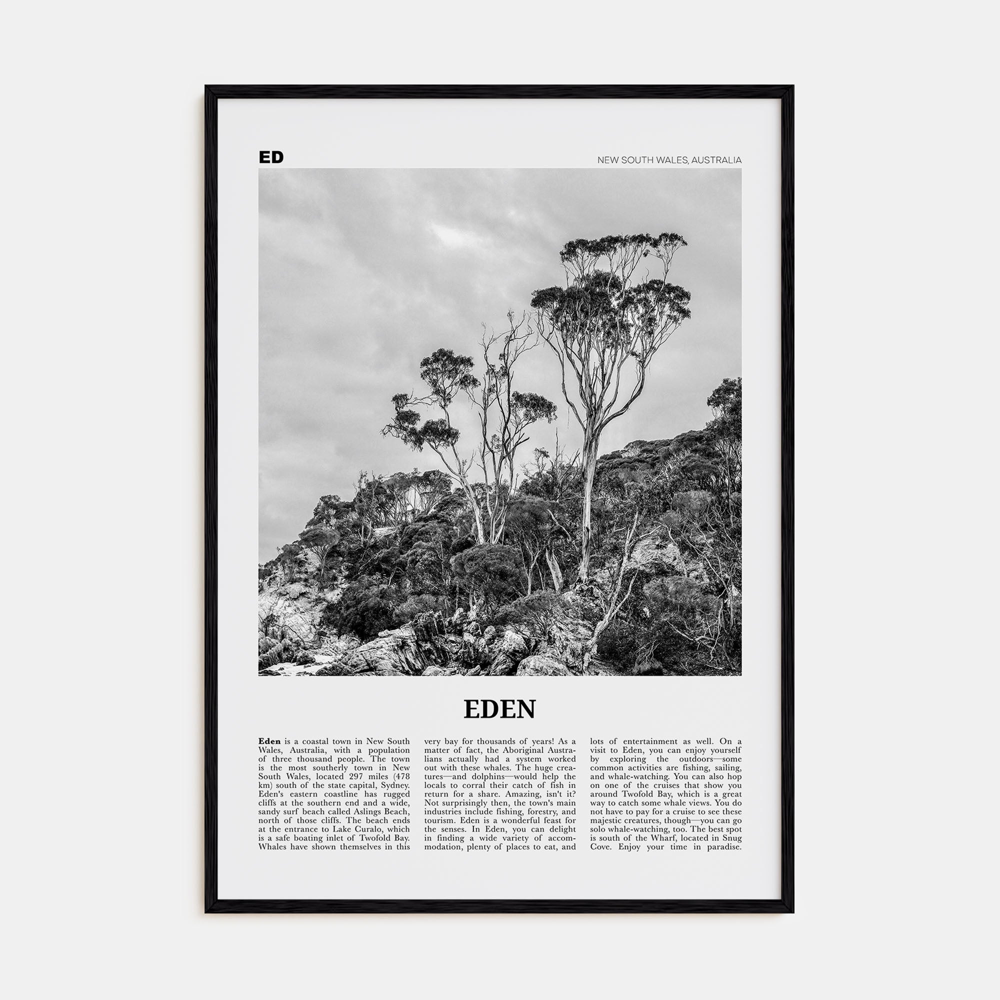 Eden Travel B&W Poster