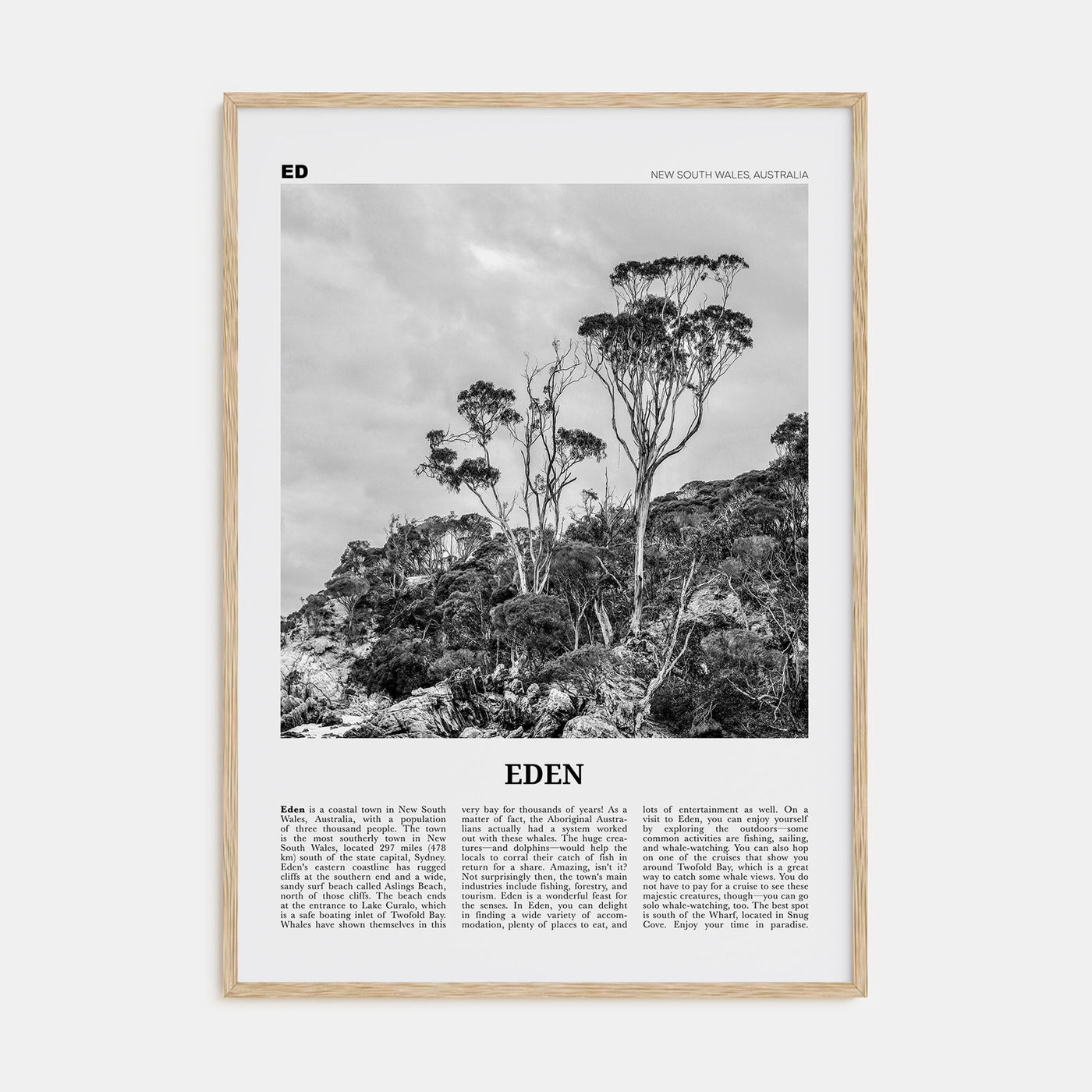 Eden Travel B&W Poster