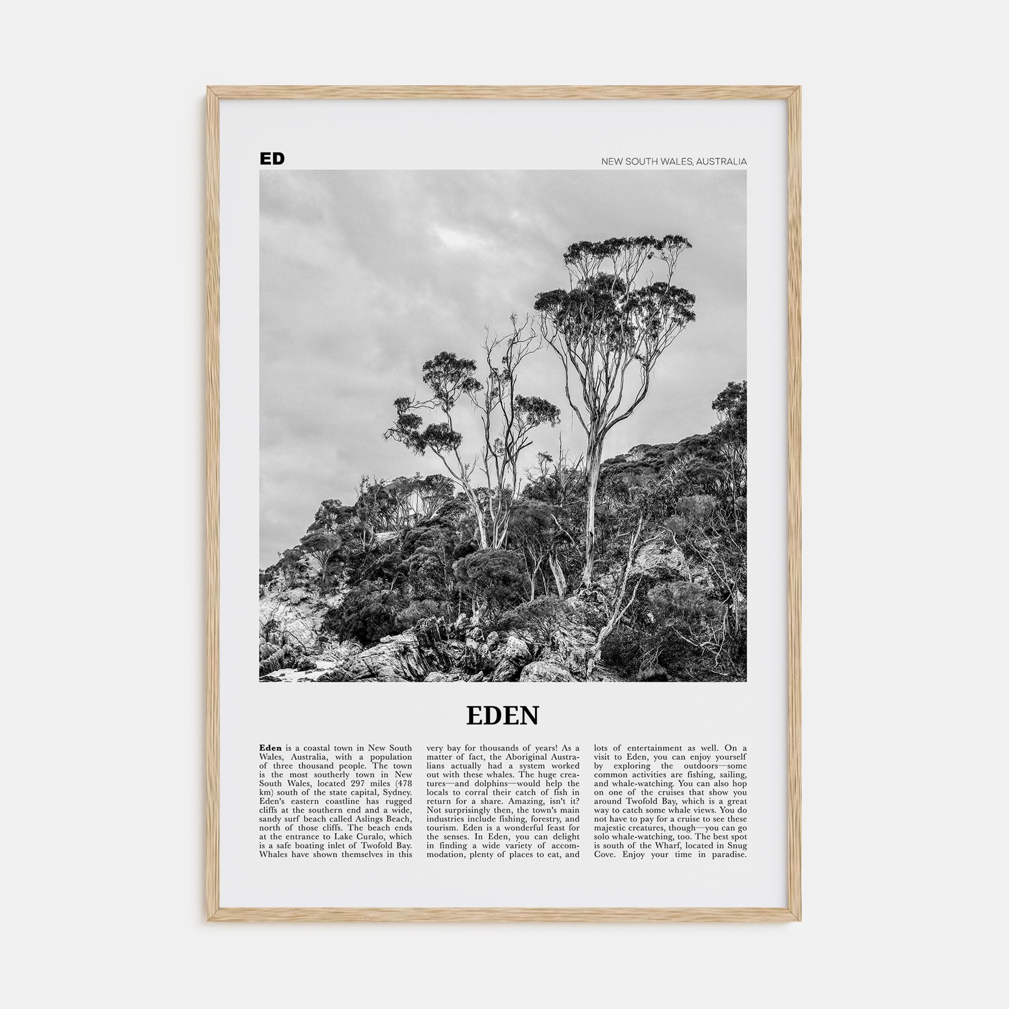 Eden Travel B&W Poster