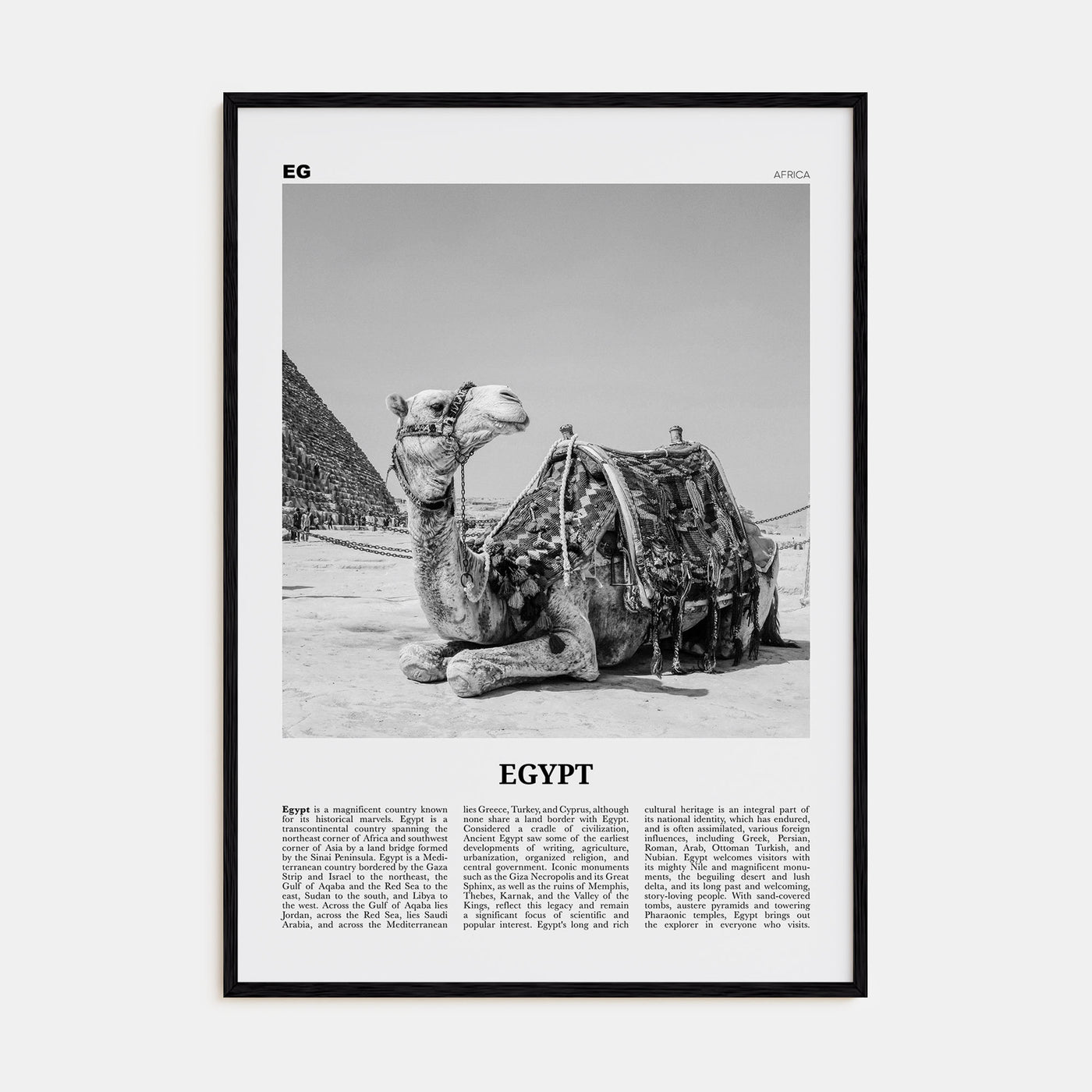 Egypt Travel B&W No 2 Poster