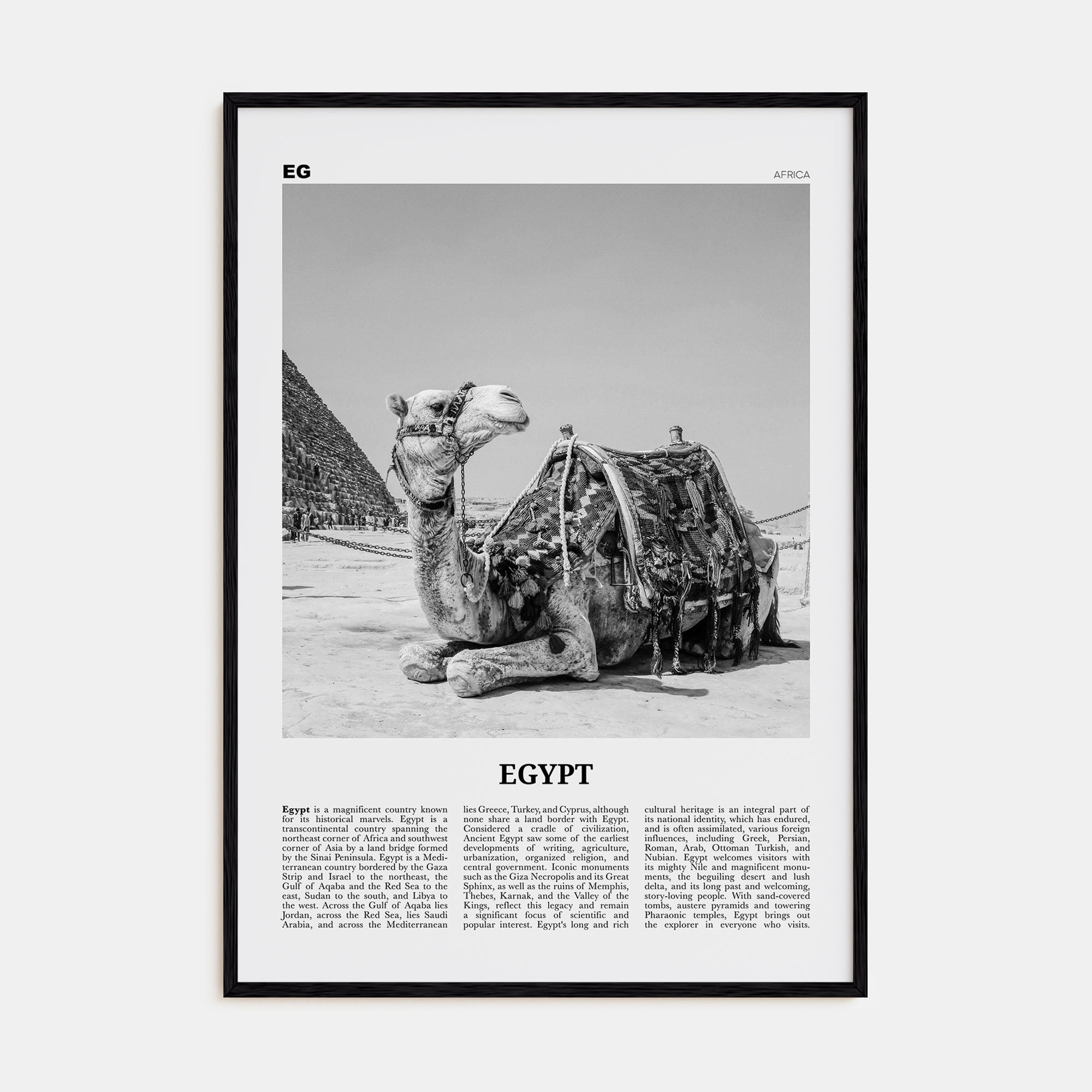 Egypt Travel B&W No 2 Poster