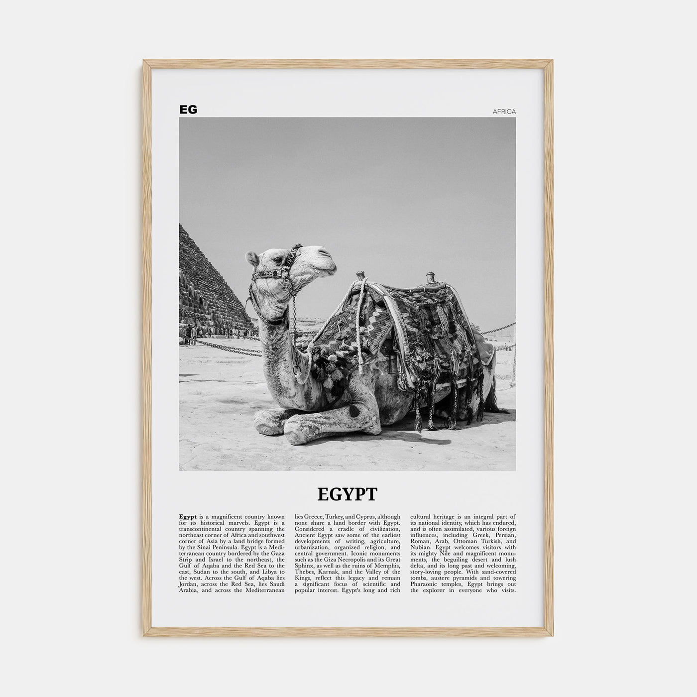Egypt Travel B&W No 2 Poster