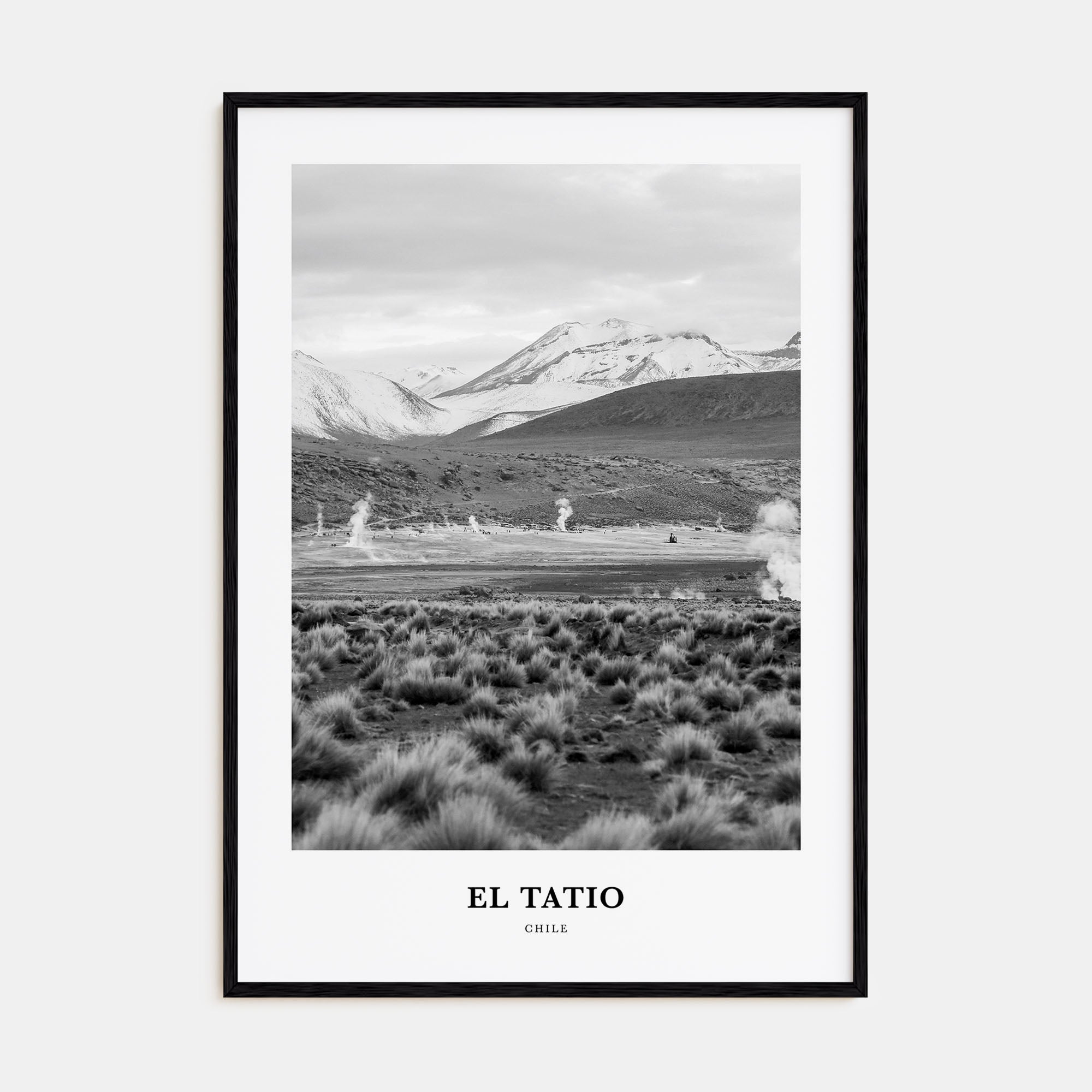 El Tatio Portrait B&W Poster