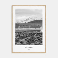 El Tatio Portrait B&W Poster
